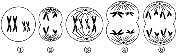 图片_x0020_100003