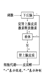图片_x0020_1240928245