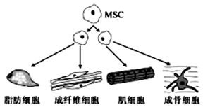 图片_x0020_100013