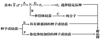 图片_x0020_100027