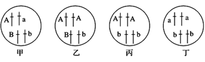 图片_x0020_100028