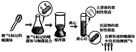 图片_x0020_1564443462