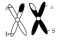 图片_x0020_100001