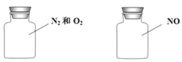 图片_x0020_100015
