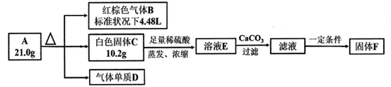 图片_x0020_100009
