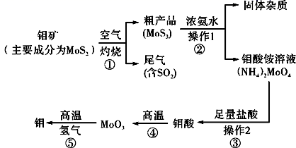 图片_x0020_100021