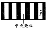 图片_x0020_100010