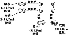 图片_x0020_100020