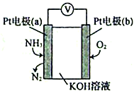 图片_x0020_100018