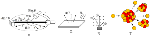 图片_x0020_100001