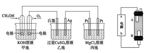 图片_x0020_1856540034