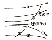 图片_x0020_100005