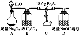 图片_x0020_100020