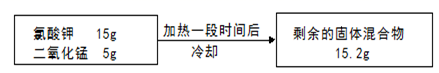 图片_x0020_1286228555