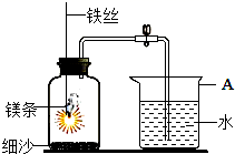 图片_x0020_100018