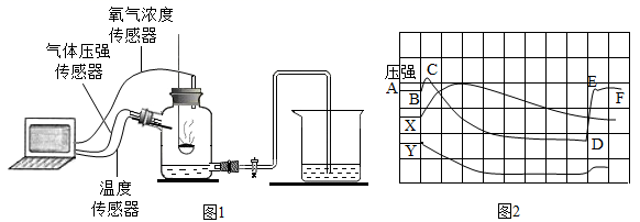 图片_x0020_1205906506