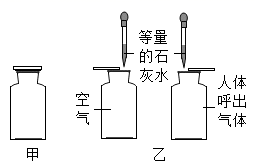 图片_x0020_1727090853