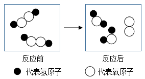 图片_x0020_1958510809