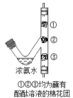 图片_x0020_580727294