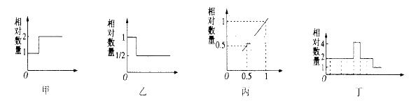 图片_x0020_96504787