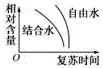 图片_x0020_1303602971