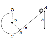 图片_x0020_100016