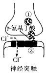 图片_x0020_922699126