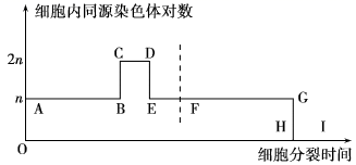 图片_x0020_100001
