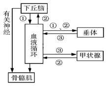 图片_x0020_1625834119