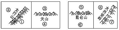 图片_x0020_1446767411