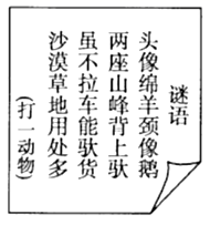 图片_x0020_100006