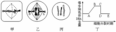 图片_x0020_1336997577