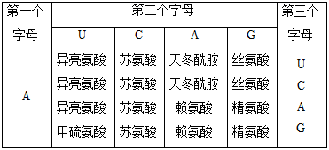 图片_x0020_1853885234