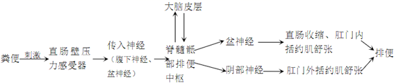 图片_x0020_1340534020