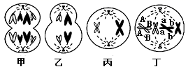 图片_x0020_135800594