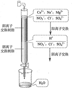 图片_x0020_1324959096