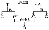图片_x0020_100012