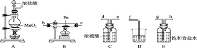 图片_x0020_100020