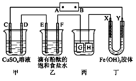图片_x0020_100012