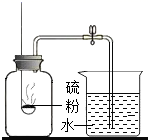图片_x0020_1087811399