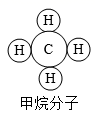图片_x0020_2101659911