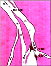 图片_x0020_1619679394