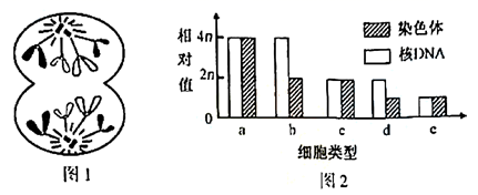 图片_x0020_908355248