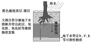 图片_x0020_1895269128