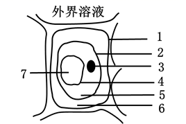 图片_x0020_100001