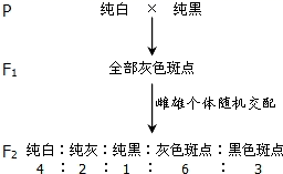 图片_x0020_269989944