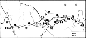 图片_x0020_100012