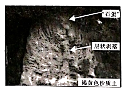 图片_x0020_100006