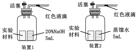 图片_x0020_1452680877