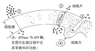 图片_x0020_100001